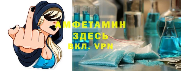индика Бугульма