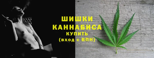 стафф Бронницы