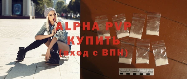 индика Бугульма