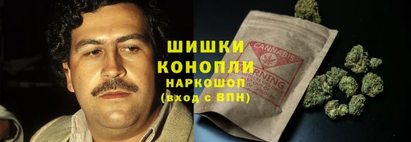 стафф Бронницы