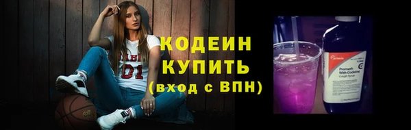 индика Бугульма