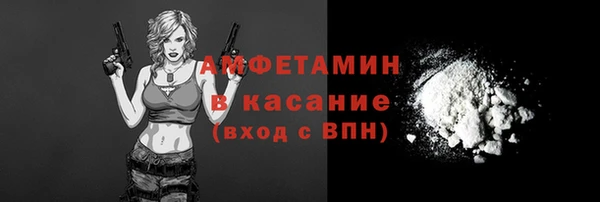 дживик Верхний Тагил