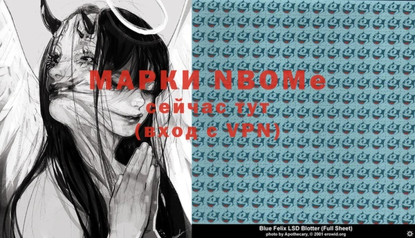 индика Бугульма