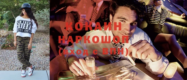 индика Бугульма