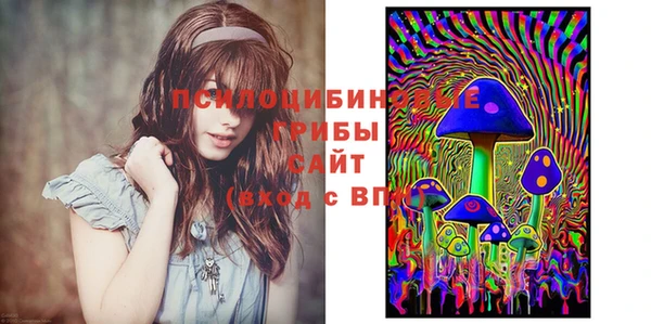 марки nbome Богородицк
