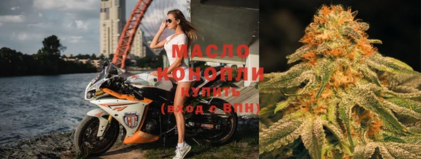 дживик Верхний Тагил