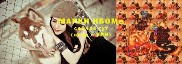 стафф Бронницы