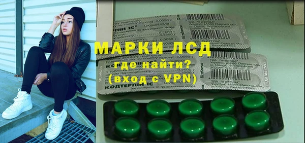 индика Бугульма